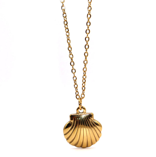 Gold shell pendant necklace on a white background