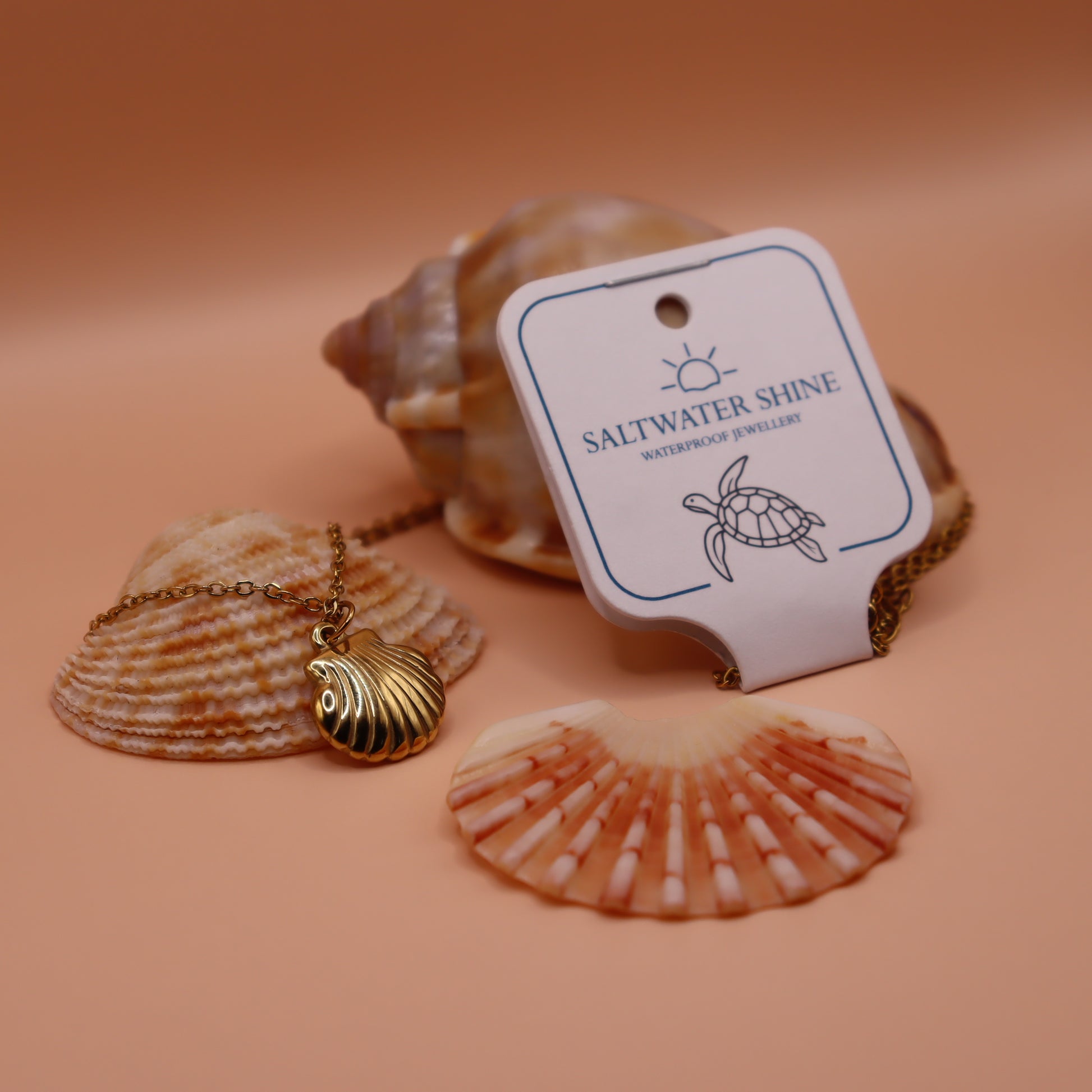 Gold necklace with a shell pendant on a peach background with seashells and a 'Saltwater Shine' tag.