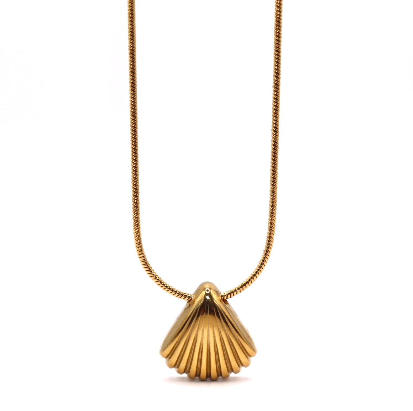 Gold shell pendant necklace on a white background