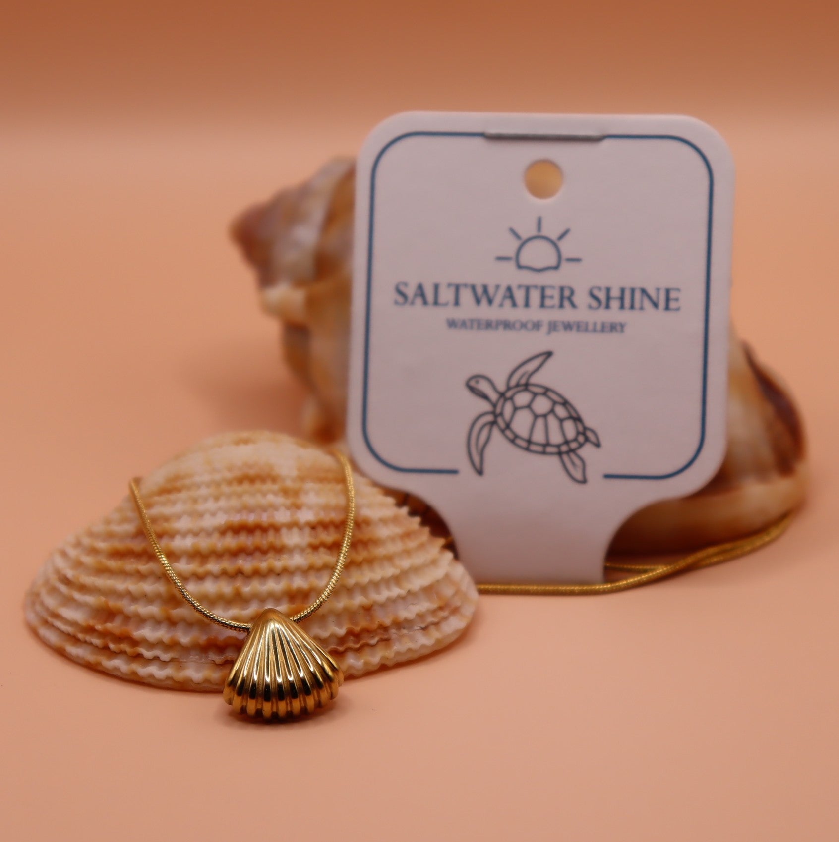Gold necklace with a shell pendant on a peach background, featuring 'Saltwater Shine' jewelry brand.