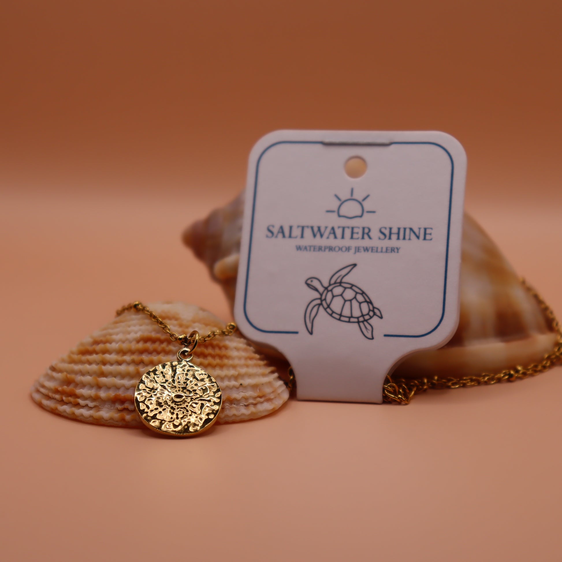 Gold necklace with a pendant on a shell against an peach background, featuring 'Saltwater Shine' jewelry brand.