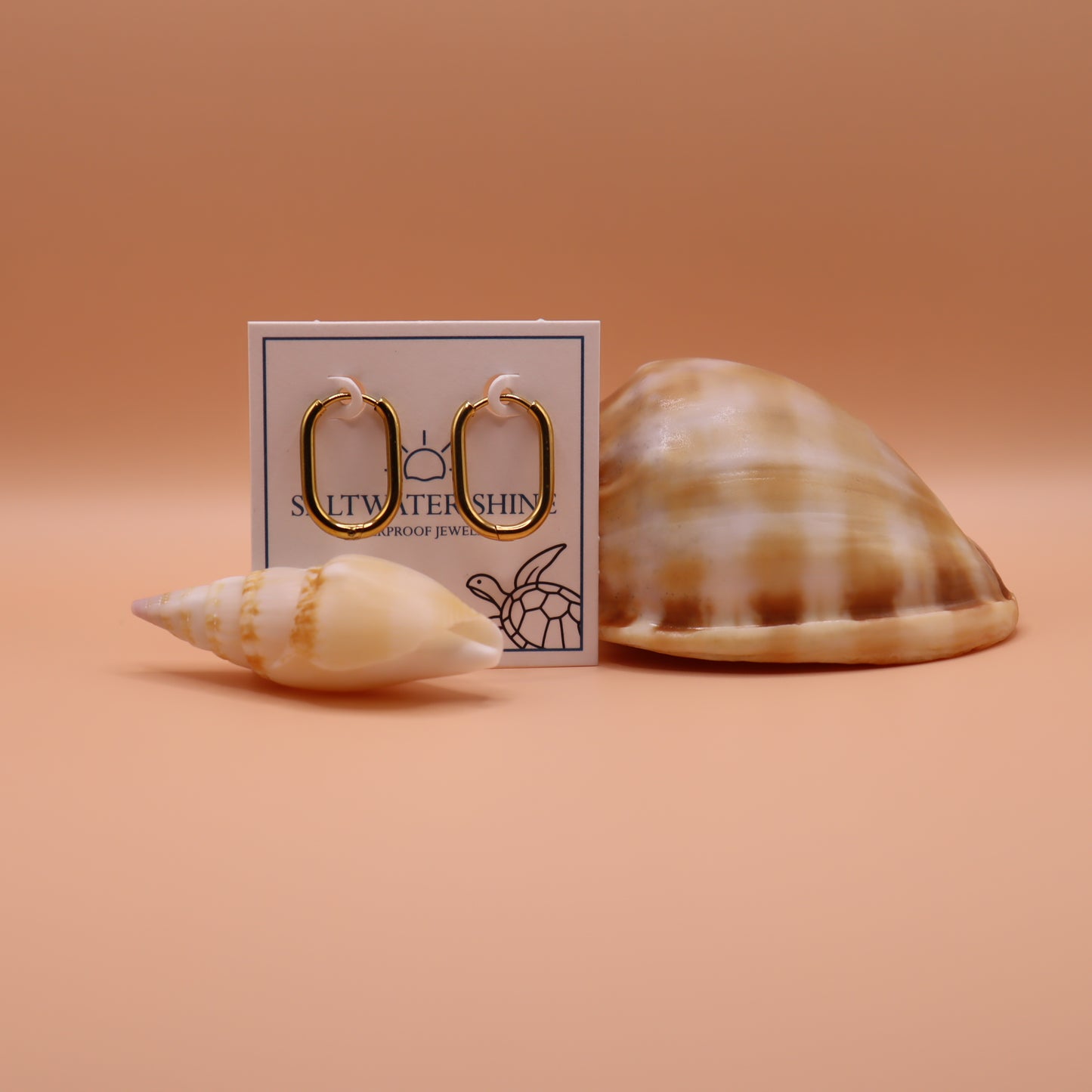 Gold hoop earrings on a card with two shells on a peach background