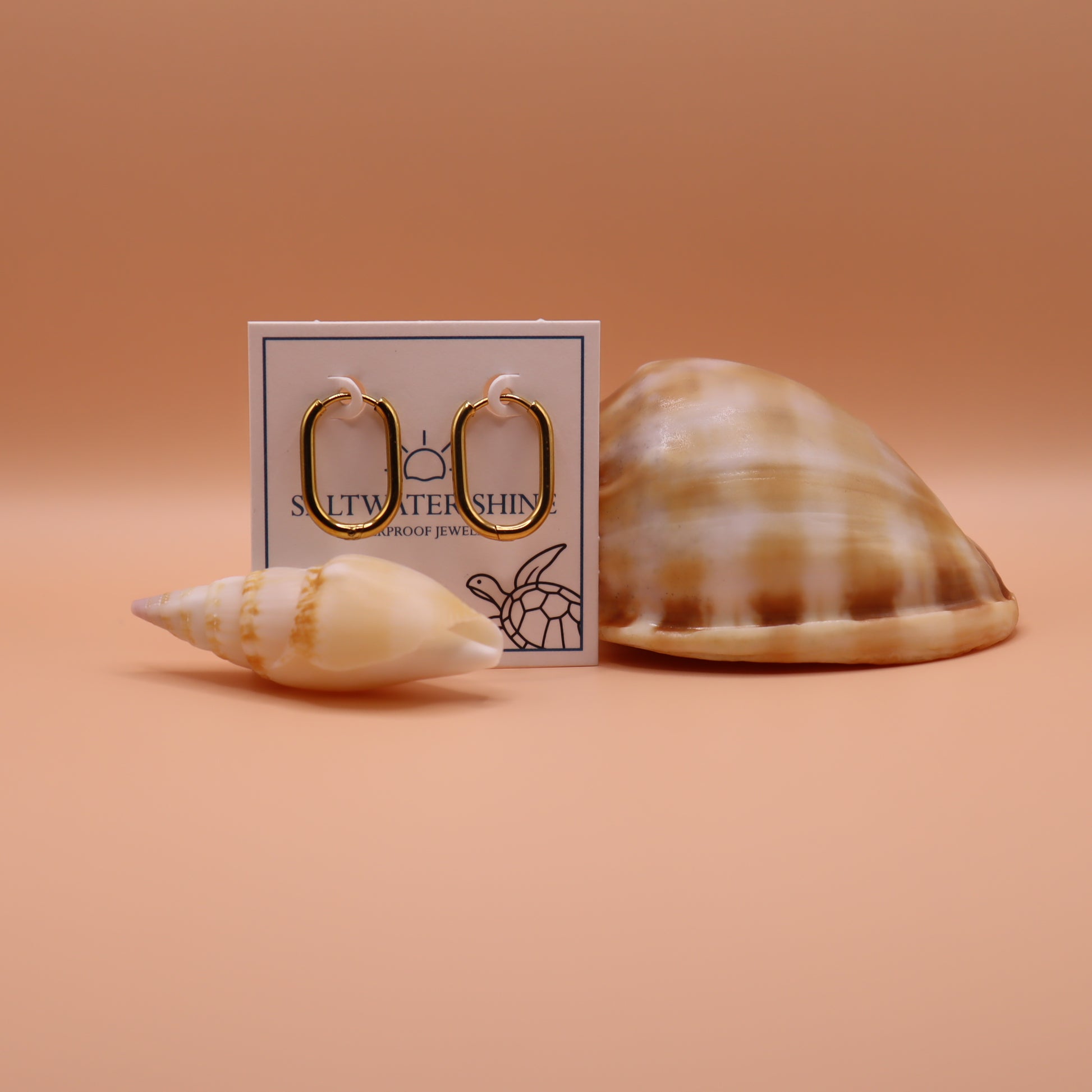 Gold hoop earrings on a card with two shells on a peach background