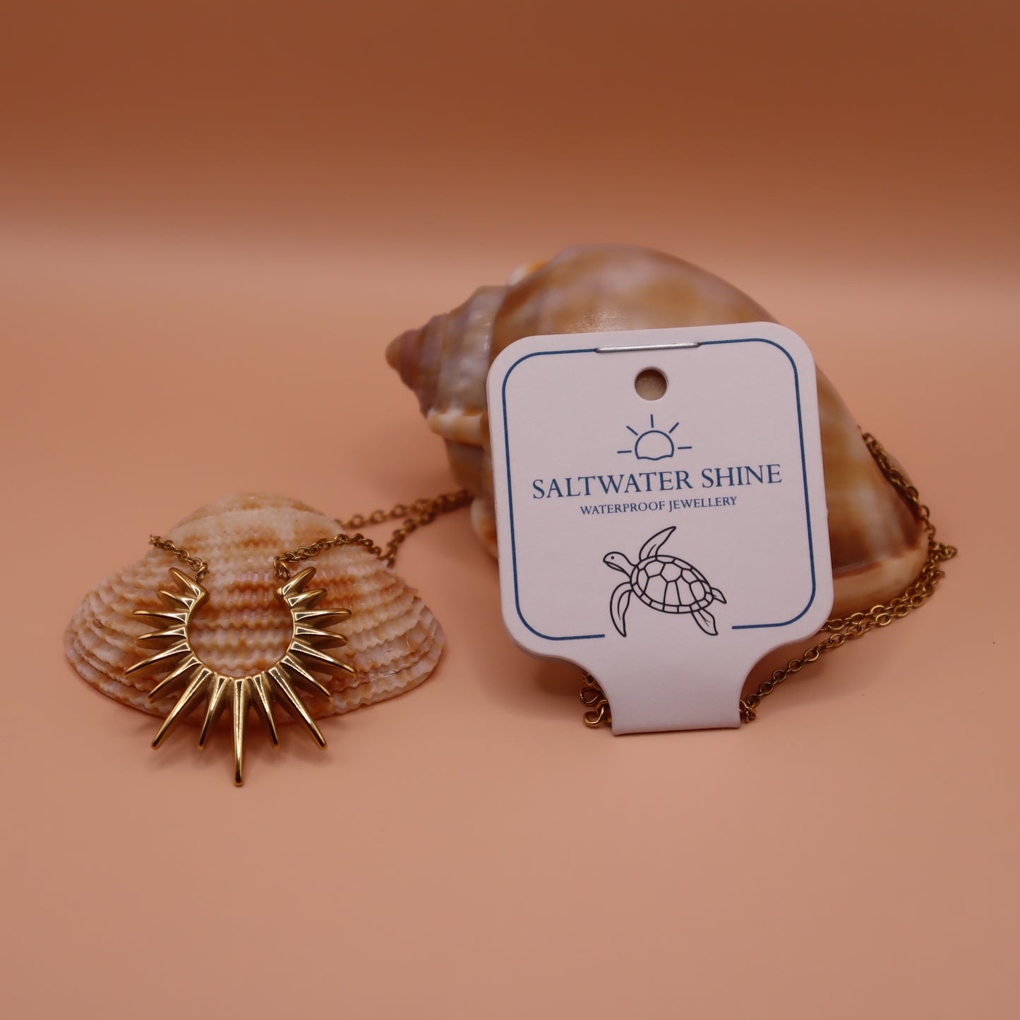 Gold necklace with a shell pendant on a peach background, featuring 'Saltwater Shine' jewelry brand.